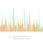 Visual soundwave pattern of wind through redwoods that inspired the Redwood Forest artwork in the Nature Frequencies series by Jill Lena Ford.